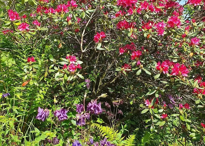 Διαμέρισμα Paradiesken Am Berg *